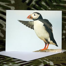 Exclusive Handmade Puffin Points Greetings Card on Archive Photo Paper