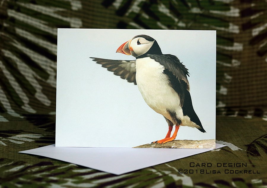 Exclusive Handmade Puffin Points Greetings Card on Archive Photo Paper