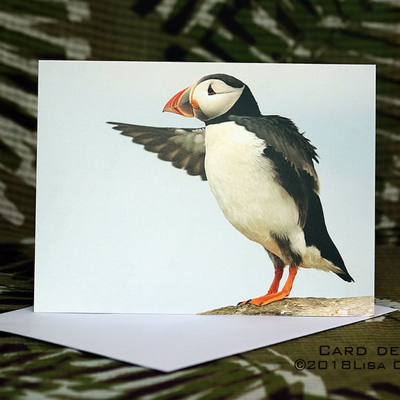 Exclusive Handmade Puffin Points Greetings Card on Archive Photo Paper