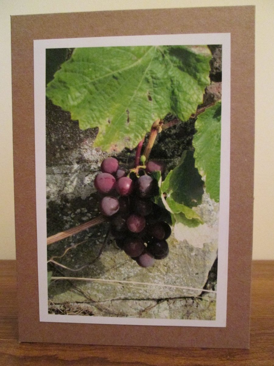 Grapes Photo Greetings Card