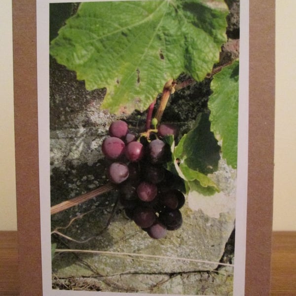 Grapes Photo Greetings Card