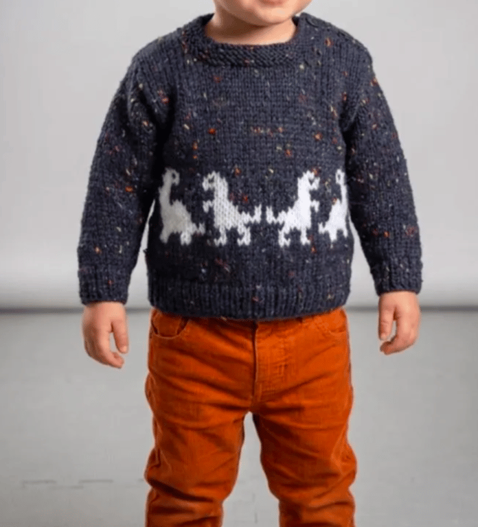 Knitting Pattern Small Dinosaurs Sweater and Hat (3-24 months)  Digital Pattern