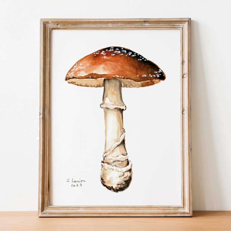 Panthercap A5 Inkjet Print