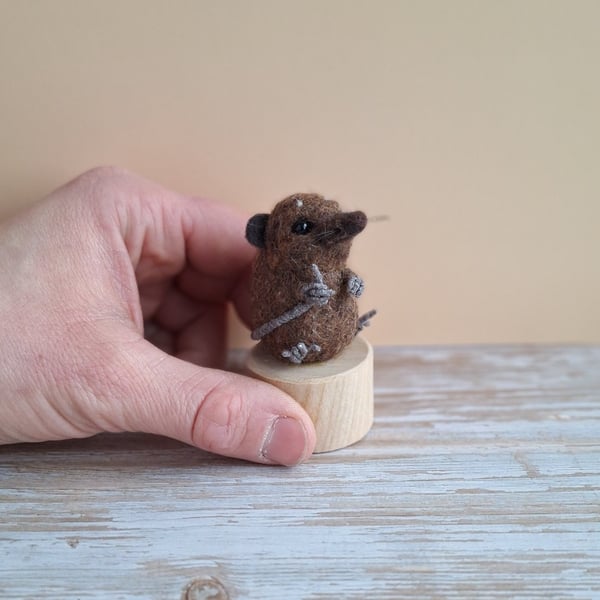 Dave - A Happy Accident