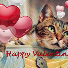 Valentine's Day Card Cat Themed A5