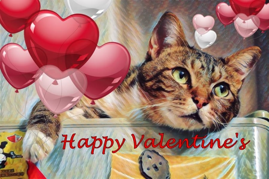 Valentine's Day Card Cat Themed A5