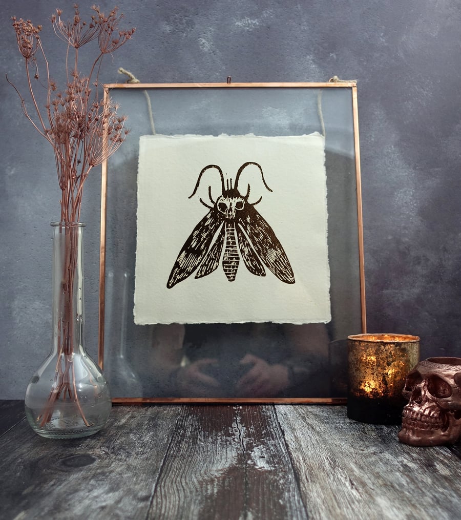 Death's Head Hawk Moth Lino Print, Hand Printed, Square Print
