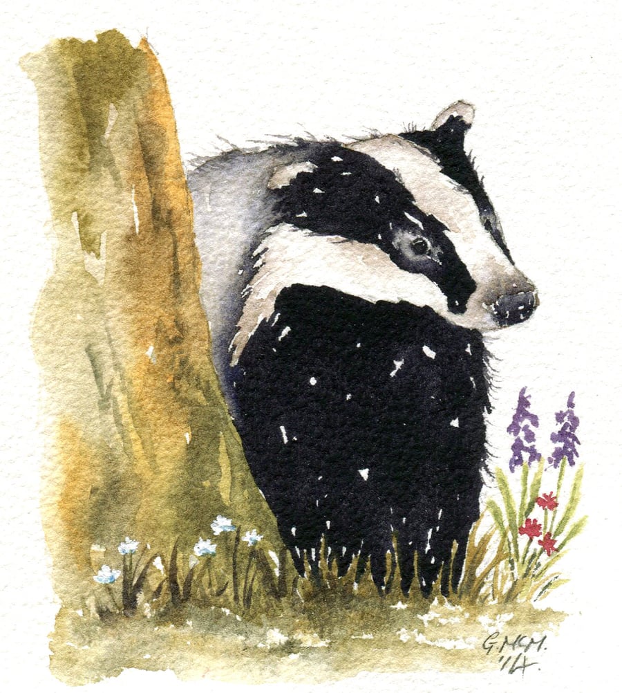 Watercolor sketch - Curious Badger