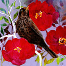 Female Blackbird Original Acrylic and Mixed Media Framed Painting 