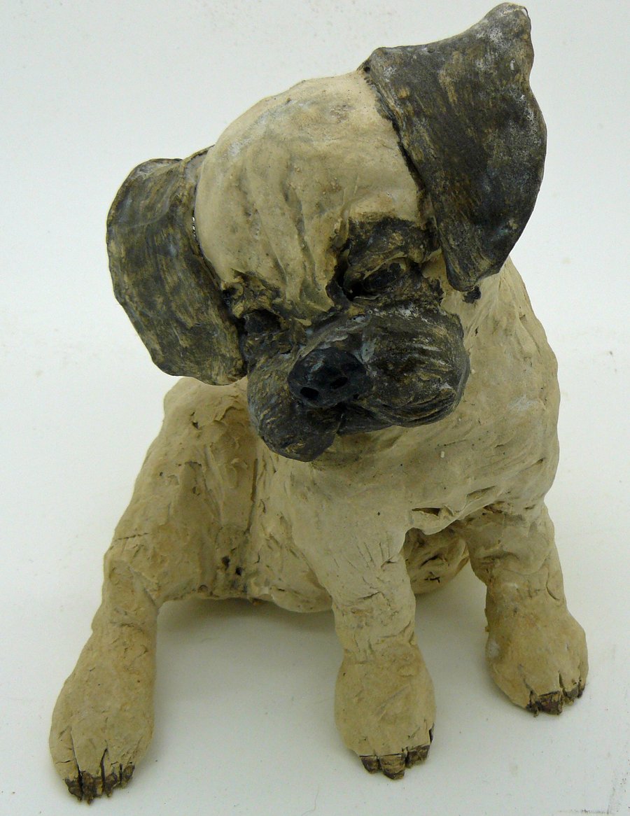 Clay Pug puppy