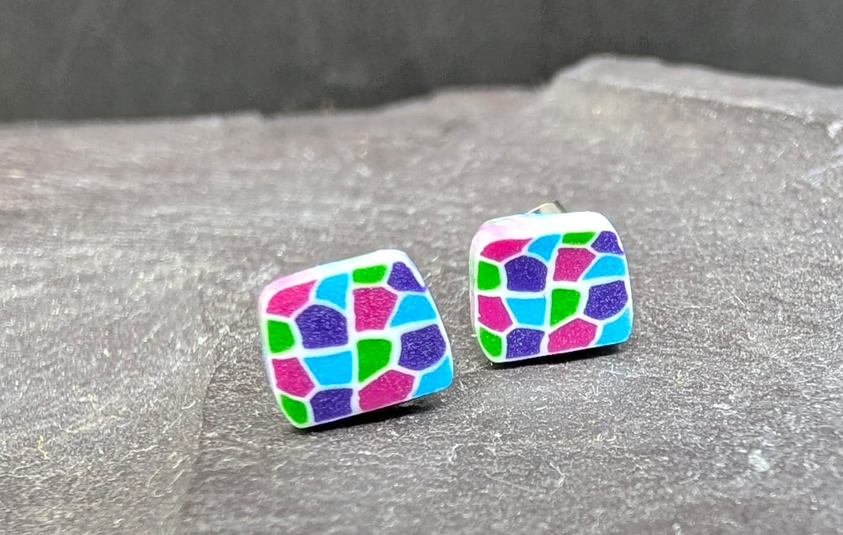 Jewel mosaic look stud earrings 