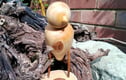 Wooden Creatures 