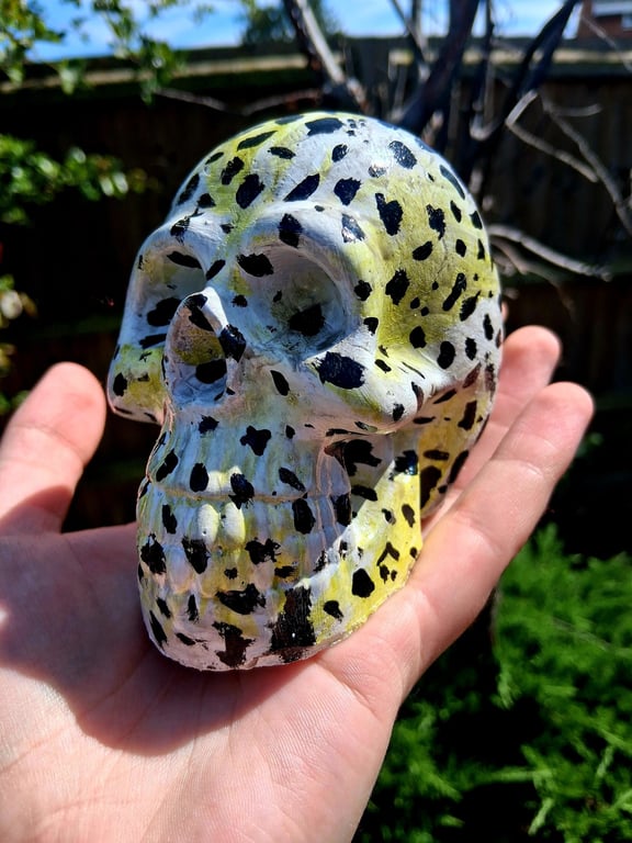 Concrete Skull - Hand Panted Dalmation Jasper