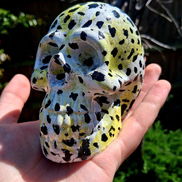 Concrete Skull - Hand Panted Dalmation Jasper