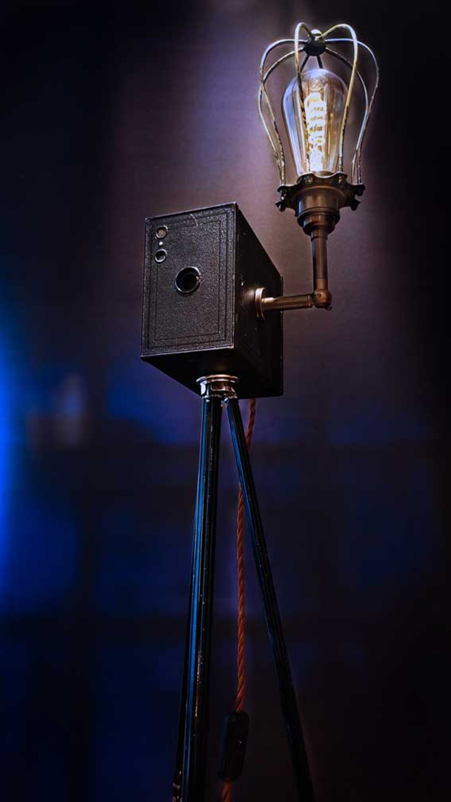 Upcycled Vintage 1920s Kodak Camera Tripod Lamp