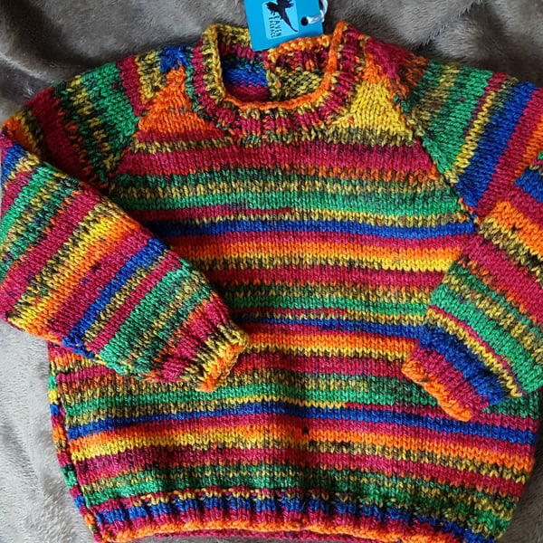Bright and Beautiful Toddler's Jumper