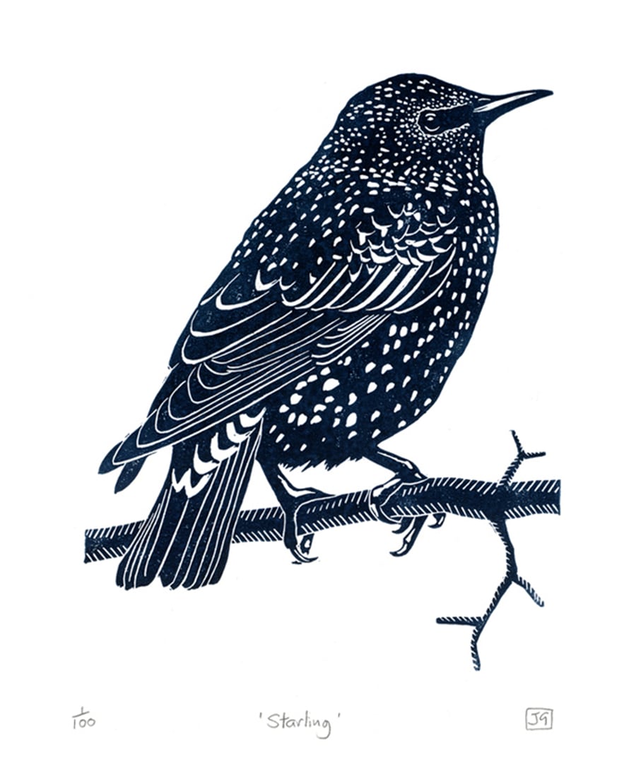Starling linocut print