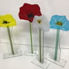 Fusedglasspoppy