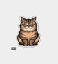 Funny Novelty Vinyl Sticker -  Smirking Cat