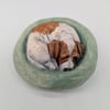 Yorkshire Pudding - Jack Russell in green bed