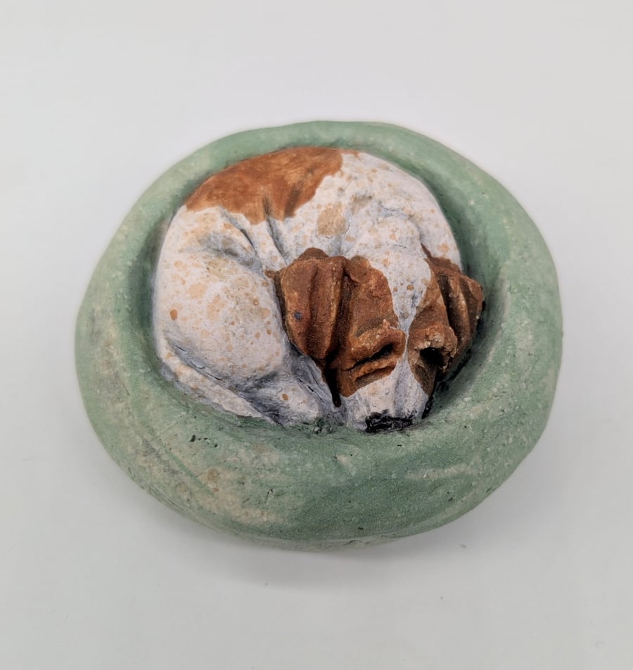 Yorkshire Pudding - Jack Russell in green bed
