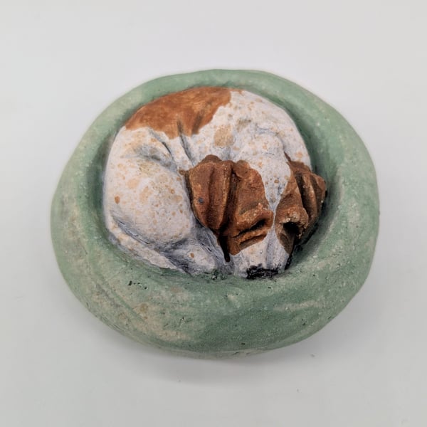 Yorkshire Pudding - Jack Russell in green bed