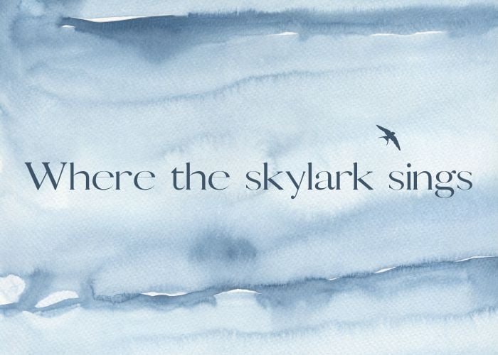 Wheretheskylarksings