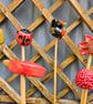 Cane Tops - Image 4