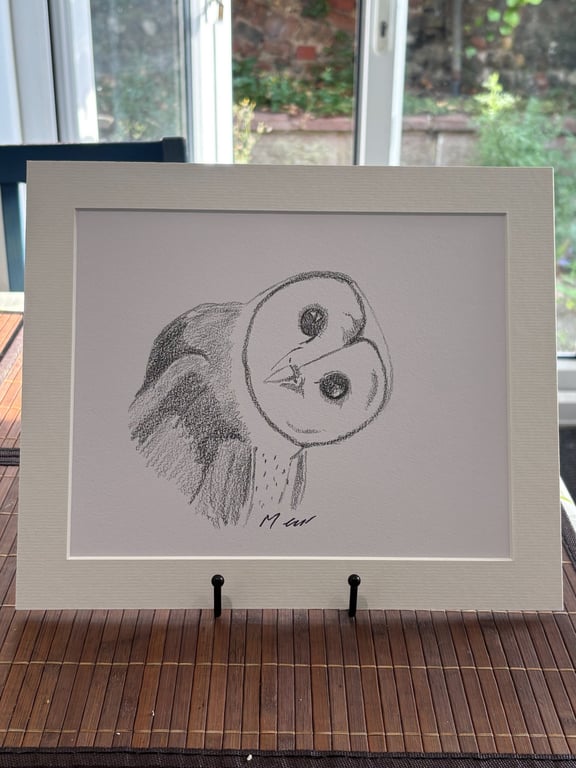 Barn Own Original Graphite Pencil Drawing 