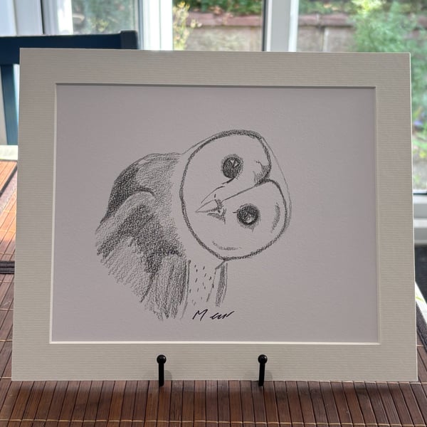 Barn Own Original Graphite Pencil Drawing 
