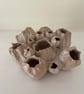 Handmade Ceramic Barnacle Vase - Image 4