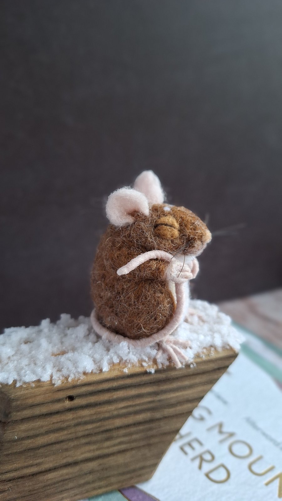 Colin the Coorie Mouse