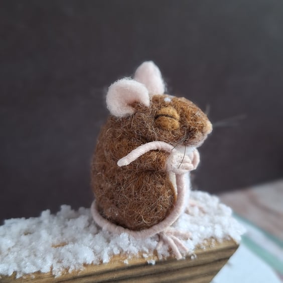 Colin the Coorie Mouse