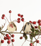 Rachel the Robin Ceramic Plant Hugger Decoration - Image 3