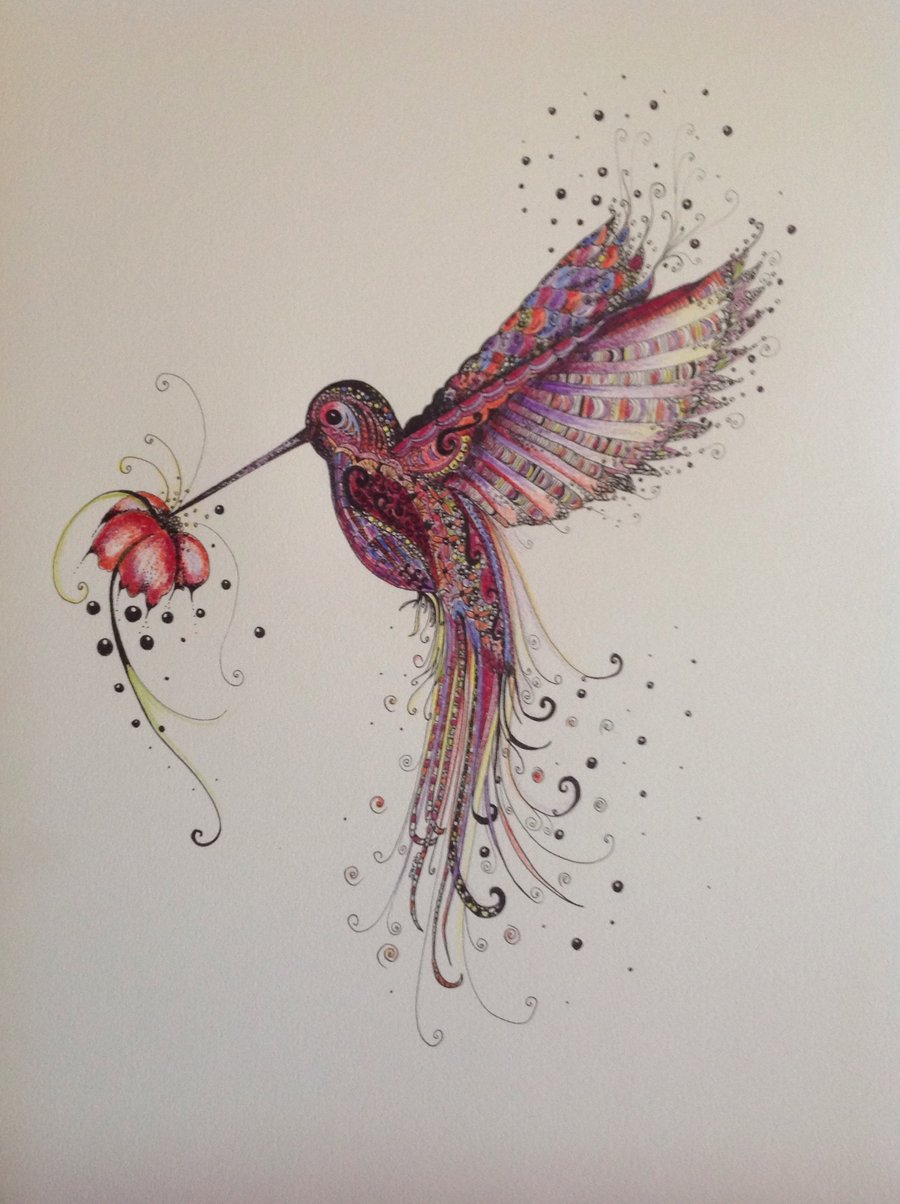 Pink Hummingbird a4 mounted print limited Edition 12x 15 inches