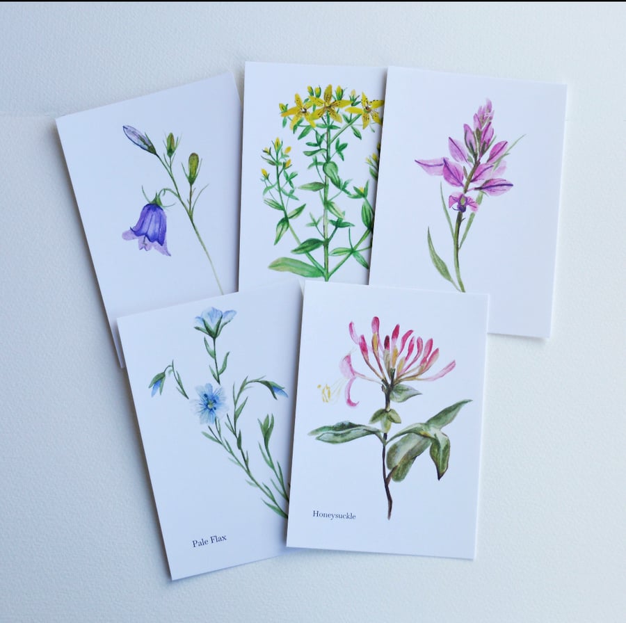 Floral watercolour postcards Set 2