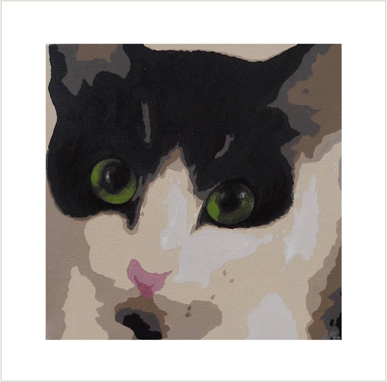 Black and White Cat Greetings Card