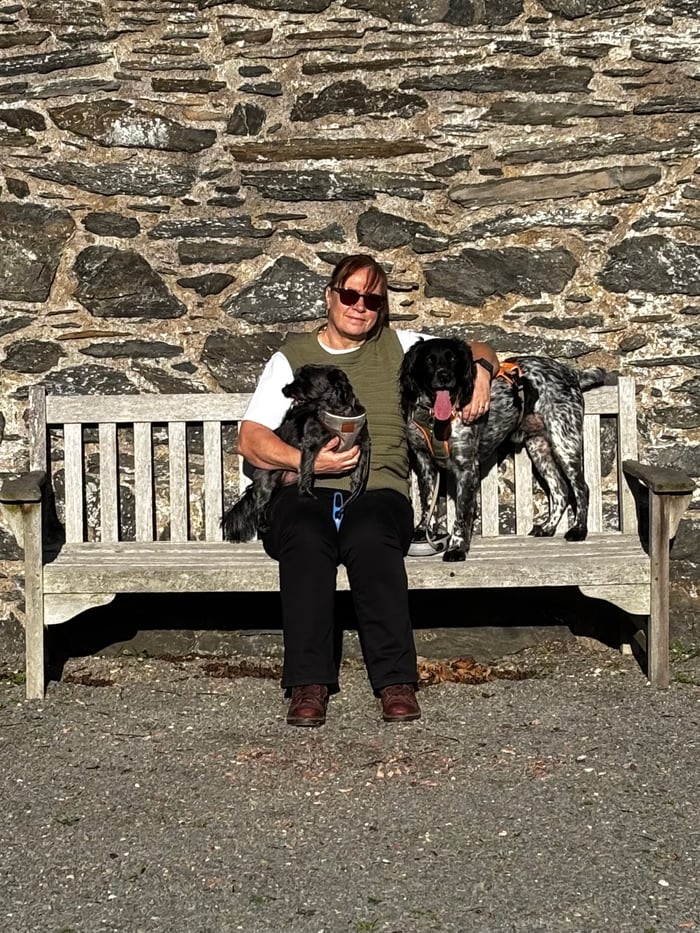 The Little French Dog