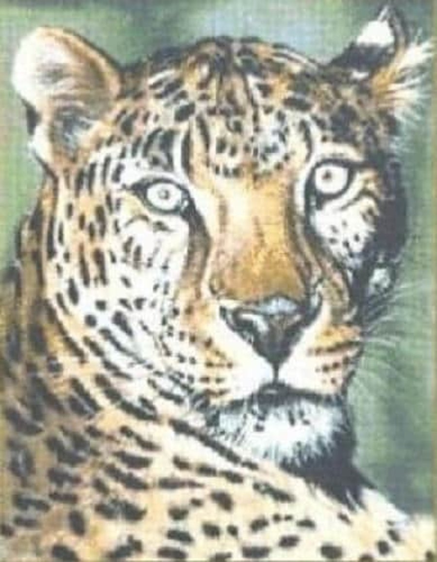 Sheba The Leopard Counted Cross Stitch Chart Pattern
