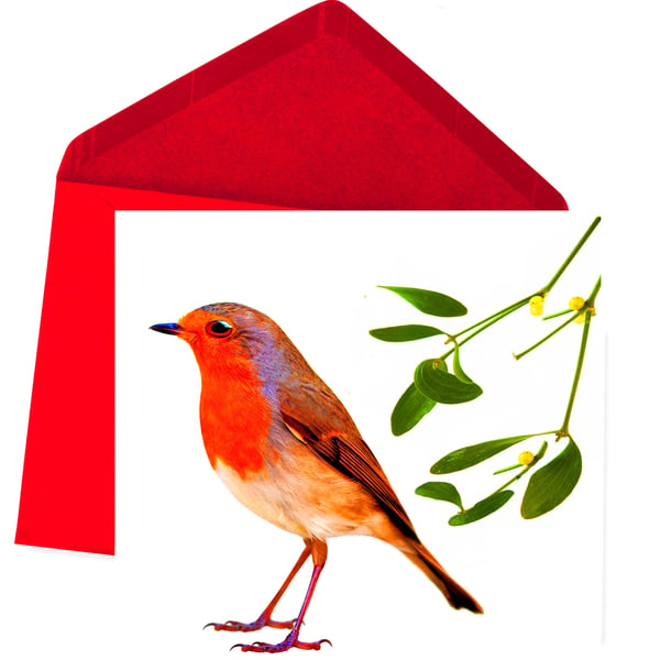 Christmas Card Sale - Robin with Mistletoe