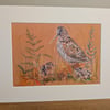 Woodcocks, an A4 or A3 signed print of an original drawing.