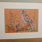 Woodcocks, an A4 or A3 signed print of an original drawing.