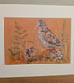 Woodcocks, an A4 or A3 signed print of an original drawing.