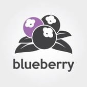 Blueberry Art