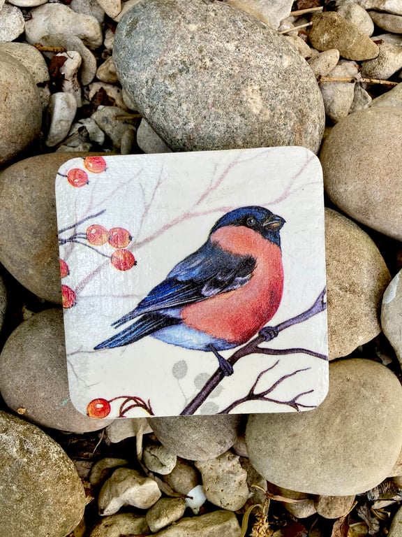 Set Of Bullfinch Coasters Unique Bird Coaster Birds Coasters Kitchen Dining Gift