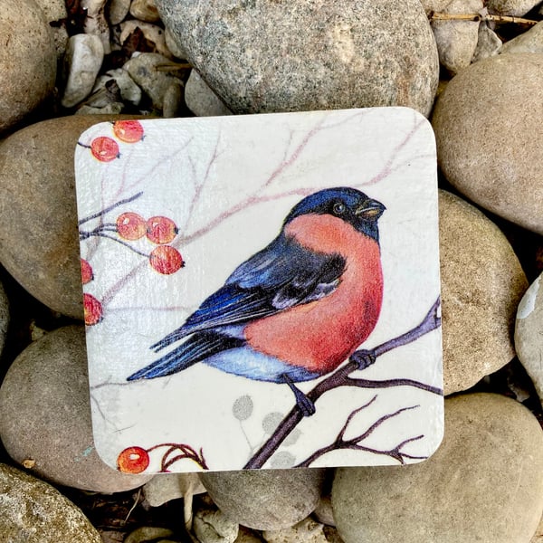 Set Of Bullfinch Coasters Unique Bird Coaster Birds Coasters Kitchen Dining Gift