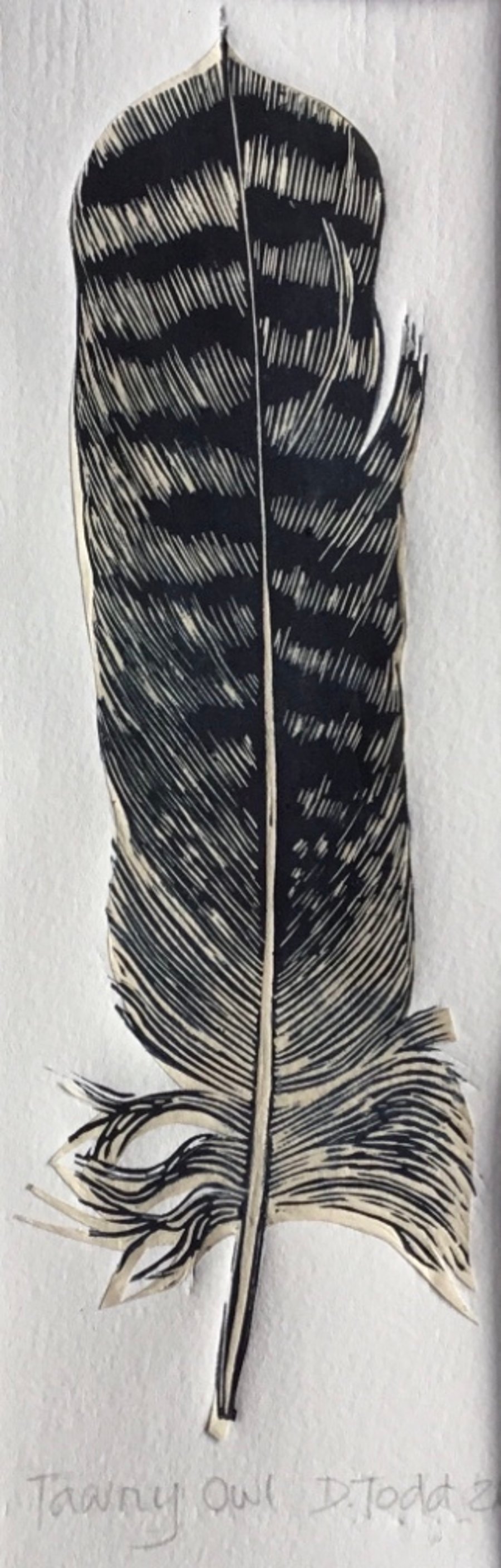 'Tawny Owl Feather' Chine Colle Linocut Print