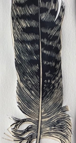 'Tawny Owl Feather' Chine Colle Linocut Print