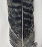 'Tawny Owl Feather' Chine Colle Linocut Print