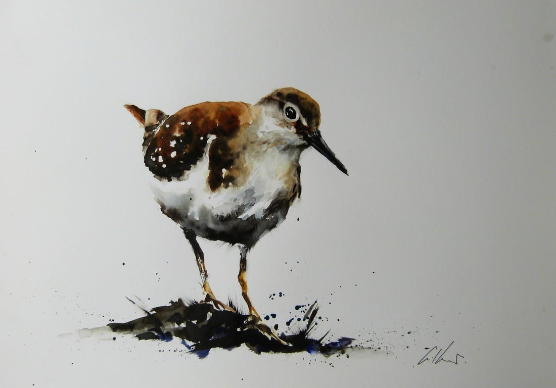 Sandpiper, Professional Giclée Print.
